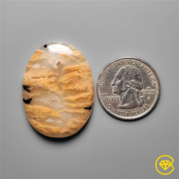 Dendritic Agate