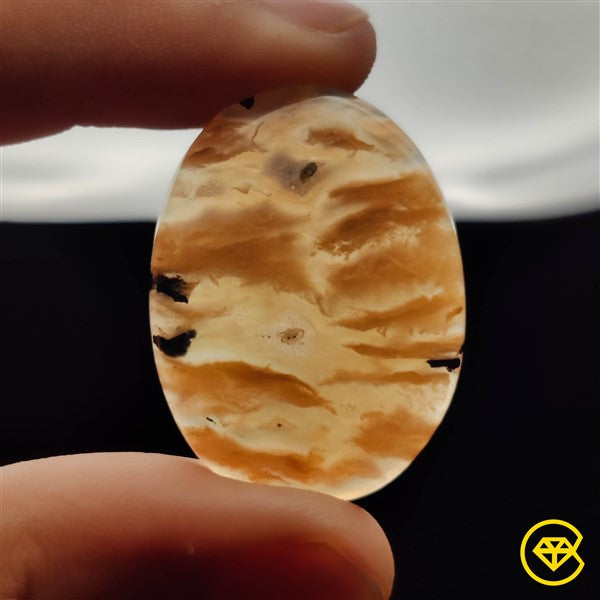 Dendritic Agate