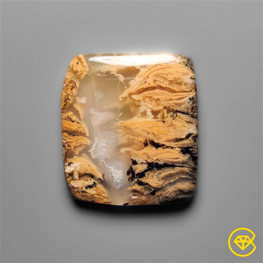 Dendritic Agate