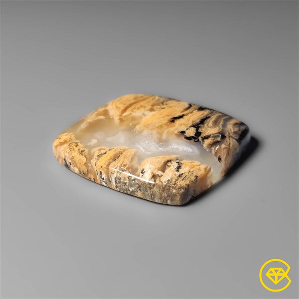 Dendritic Agate