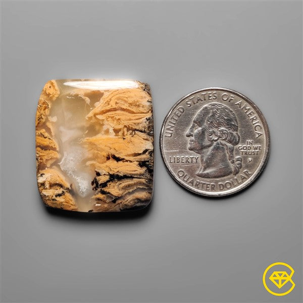 Dendritic Agate
