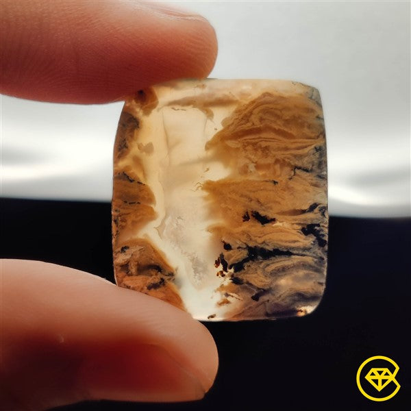 Dendritic Agate