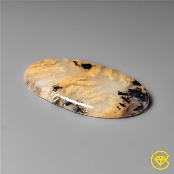 Dendritic Agate