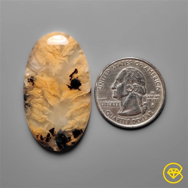 Dendritic Agate