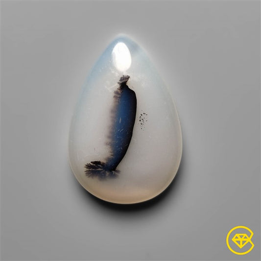 Scenic Agate