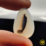 Scenic Agate