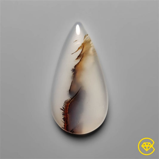 Montana Agate