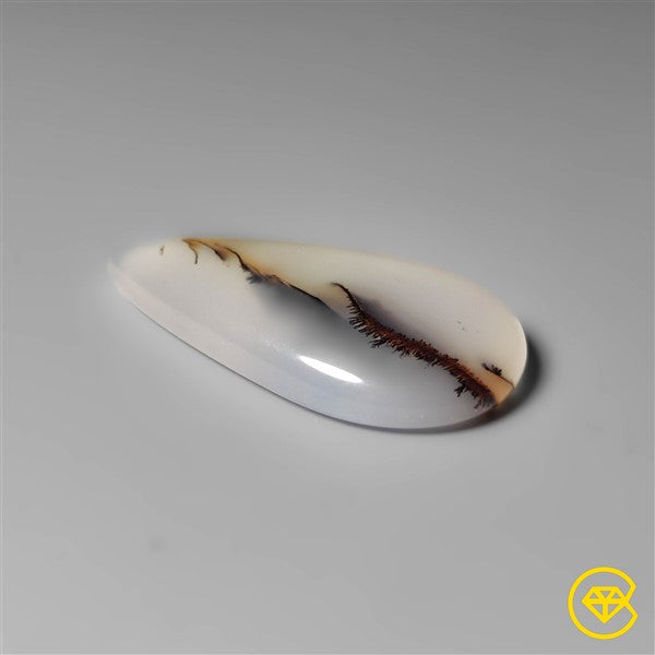 Montana Agate