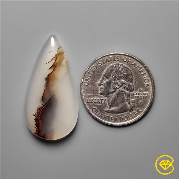 Montana Agate