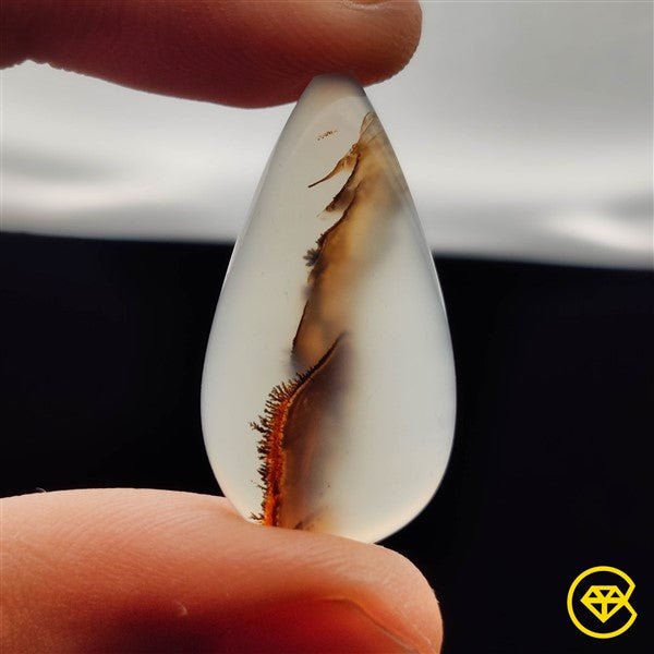 Montana Agate