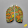 Fruit Jasper