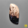Palmroot Agate