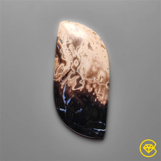 Palmroot Agate