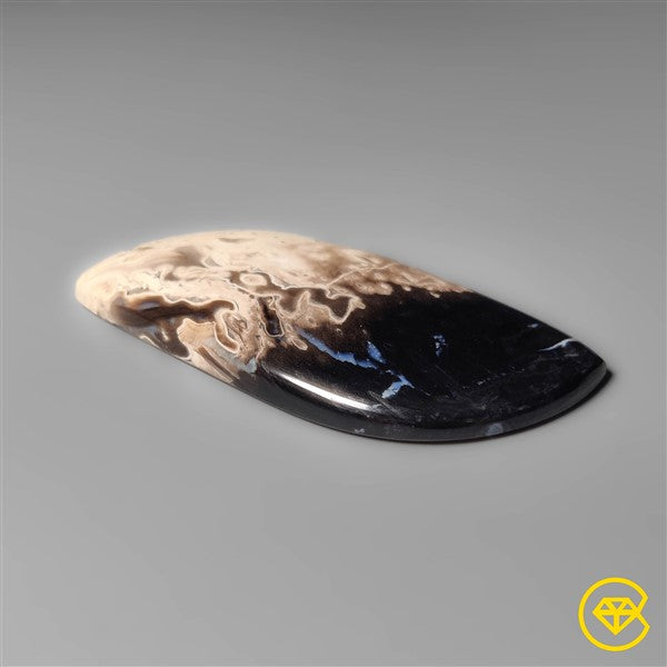 Palmroot Agate