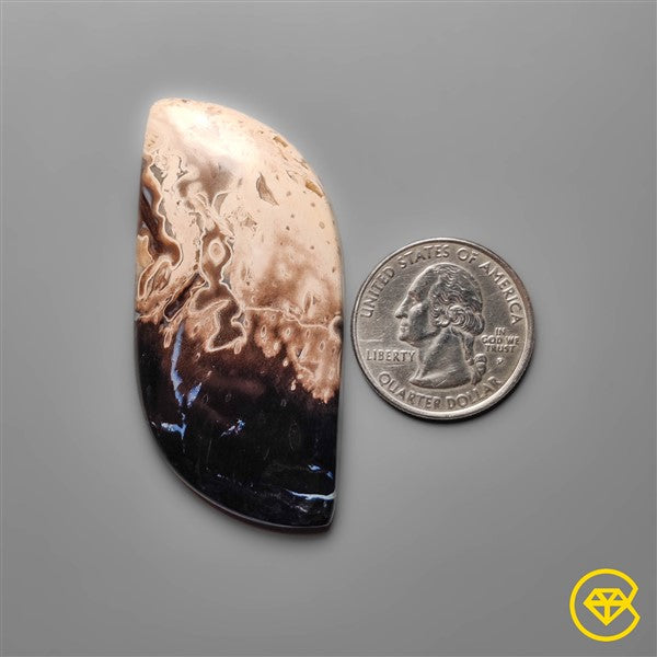 Palmroot Agate