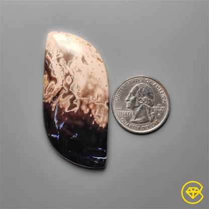 Palmroot Agate