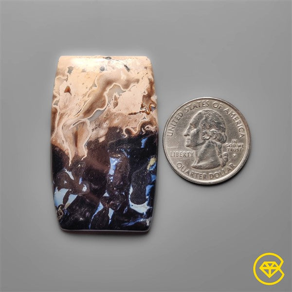 Palmroot Agate