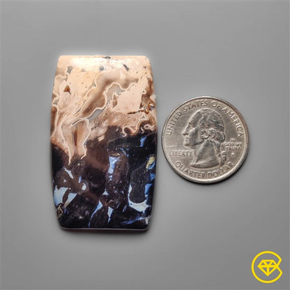 Palmroot Agate