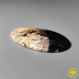 Palmroot Agate
