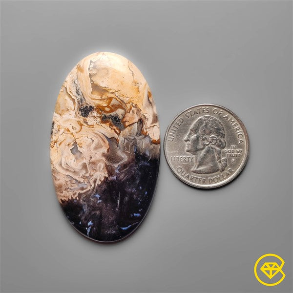 Palmroot Agate