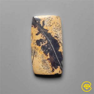 Sagebrush Jasper