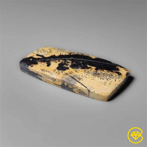 Sagebrush Jasper
