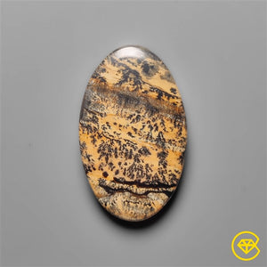 Sagebrush Jasper