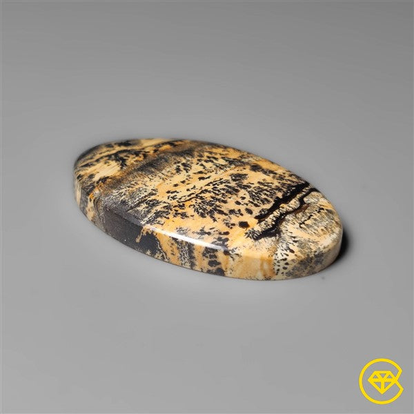 Sagebrush Jasper