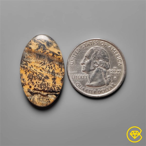 Sagebrush Jasper