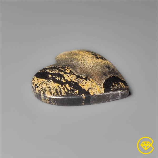 Sagebrush Jasper