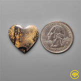 Sagebrush Jasper
