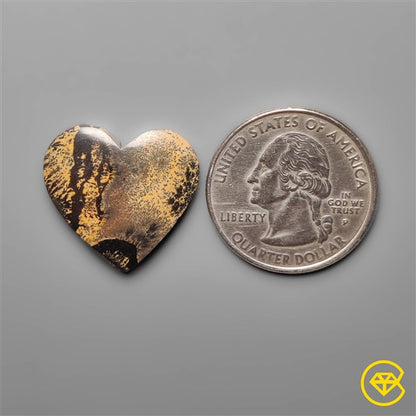 Sagebrush Jasper