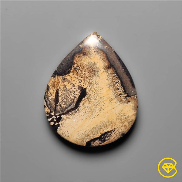 Sagebrush Jasper
