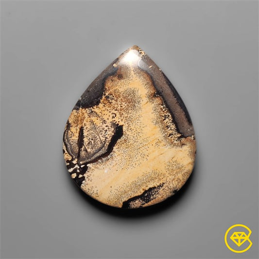 Sagebrush Jasper