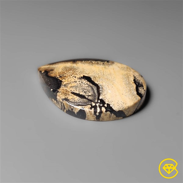 Sagebrush Jasper