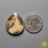 Sagebrush Jasper