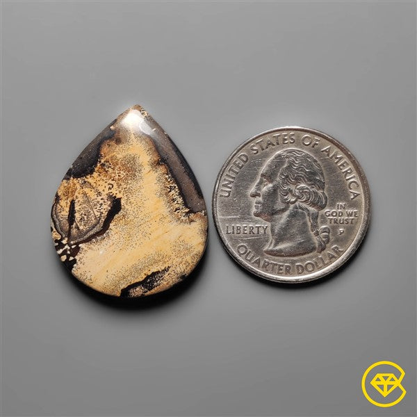 Sagebrush Jasper