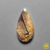 Sagebrush Jasper
