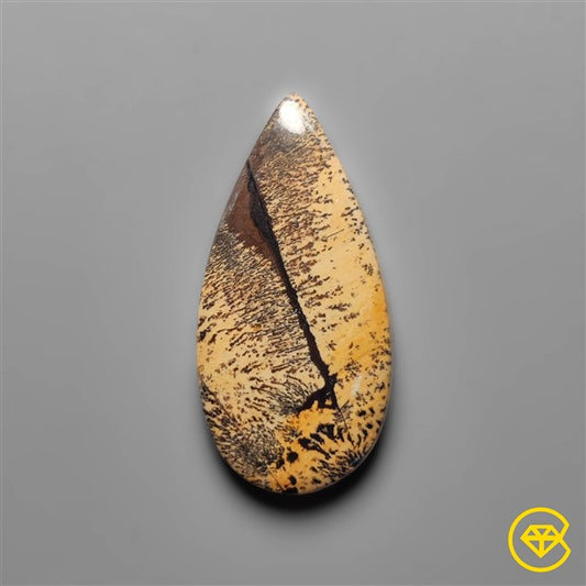 Sagebrush Jasper