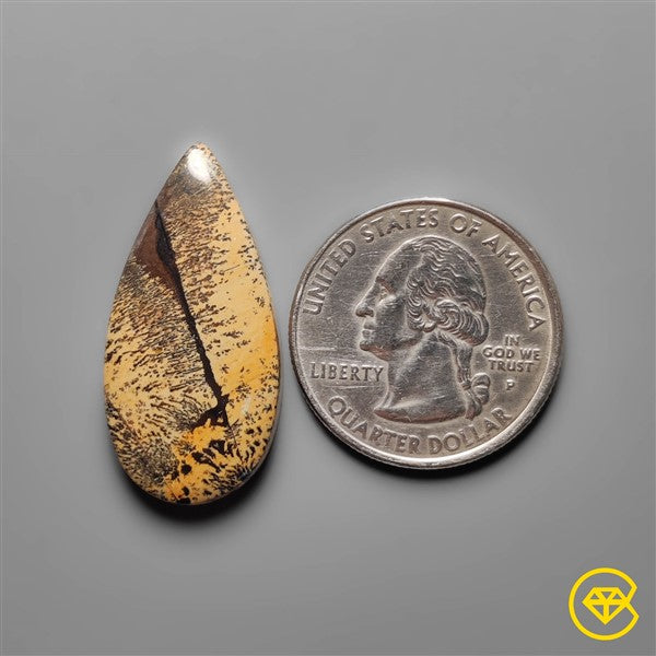 Sagebrush Jasper