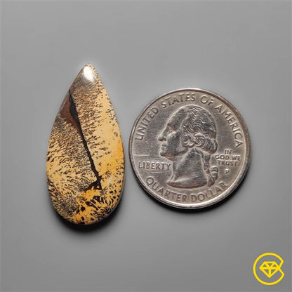 Sagebrush Jasper