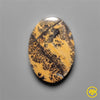 Sagebrush Jasper