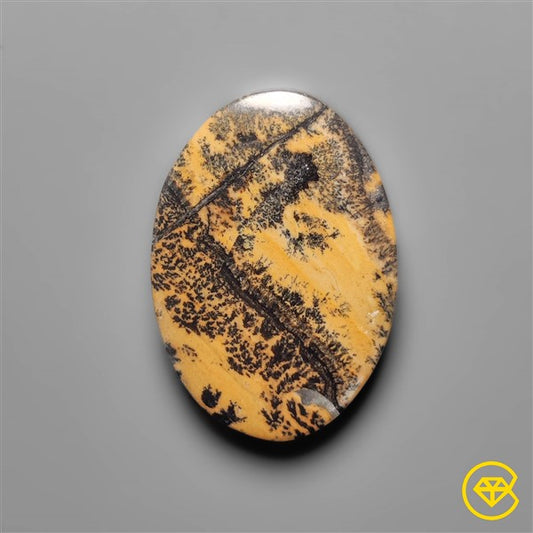 Sagebrush Jasper