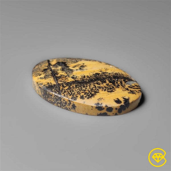Sagebrush Jasper