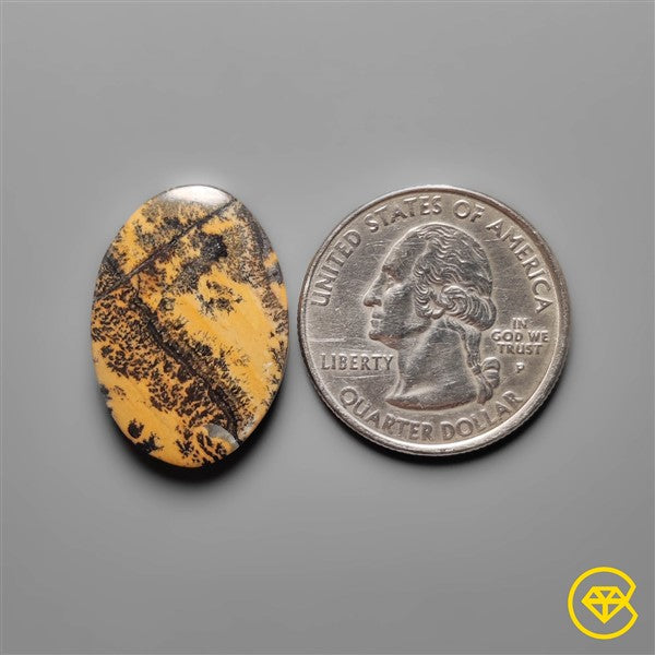Sagebrush Jasper