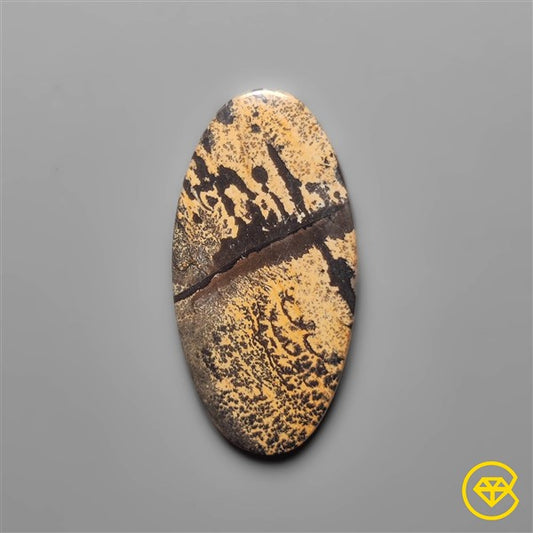 Sagebrush Jasper