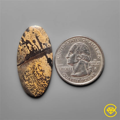 Sagebrush Jasper