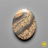 Sagebrush Jasper