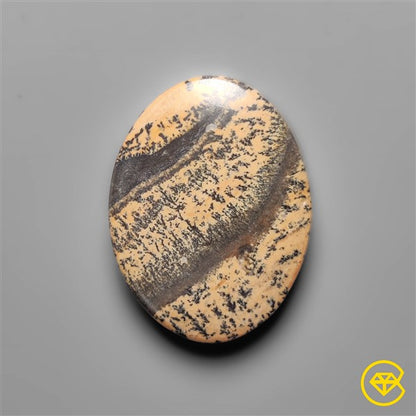 Sagebrush Jasper