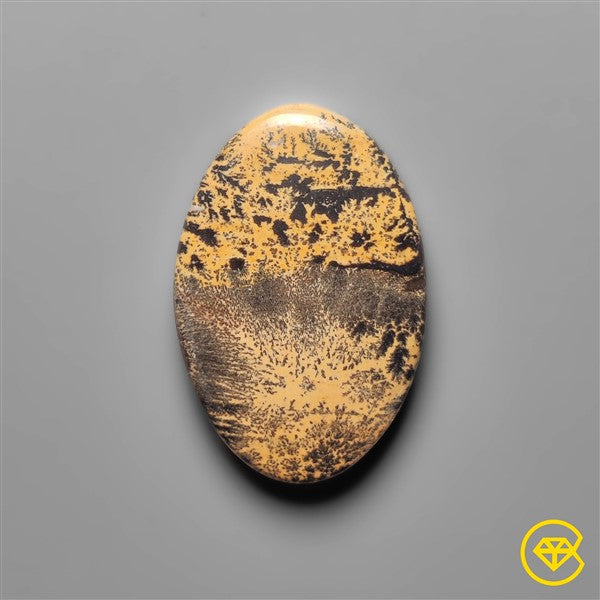 Sagebrush Jasper